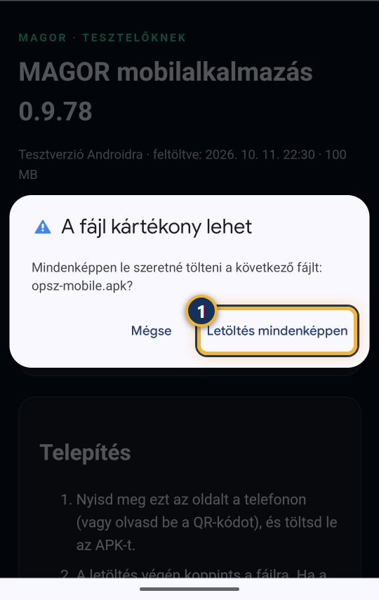 A Chrome kérdése a Letöltés mindenképpen gombbal