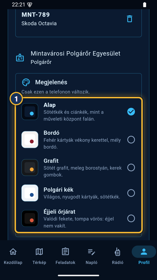 A Megjelenés rész az öt kinézettel